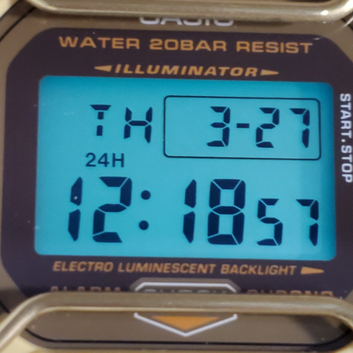 DW-5600PT-5