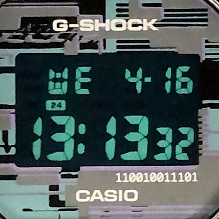 DW-5600NN-1 デジタルグリッチ(バグ)