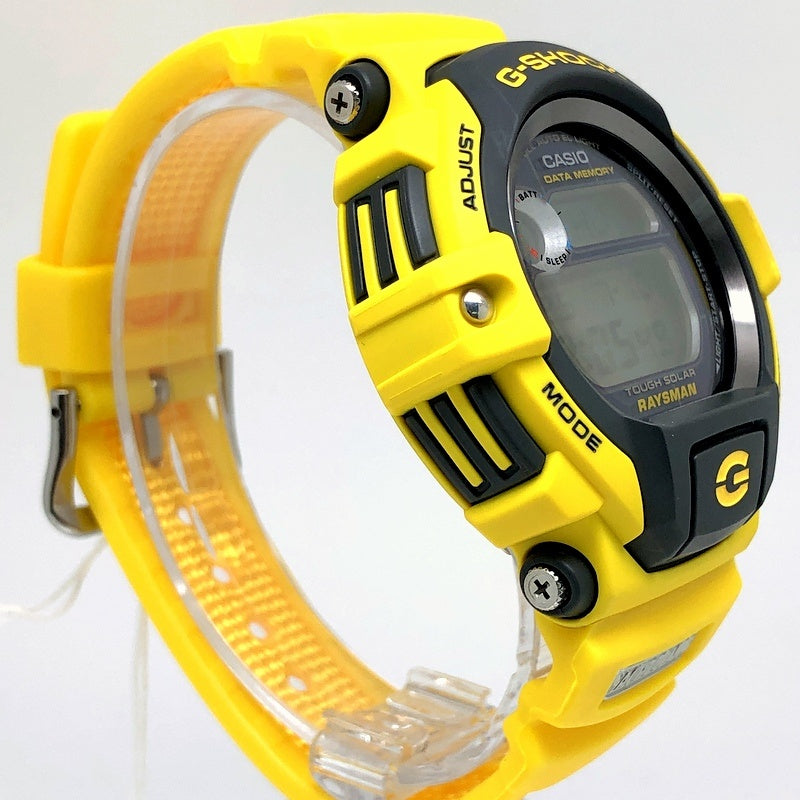 DW-9350J-9T レイズマン ヨットシリーズ ミドルシーレースモデル