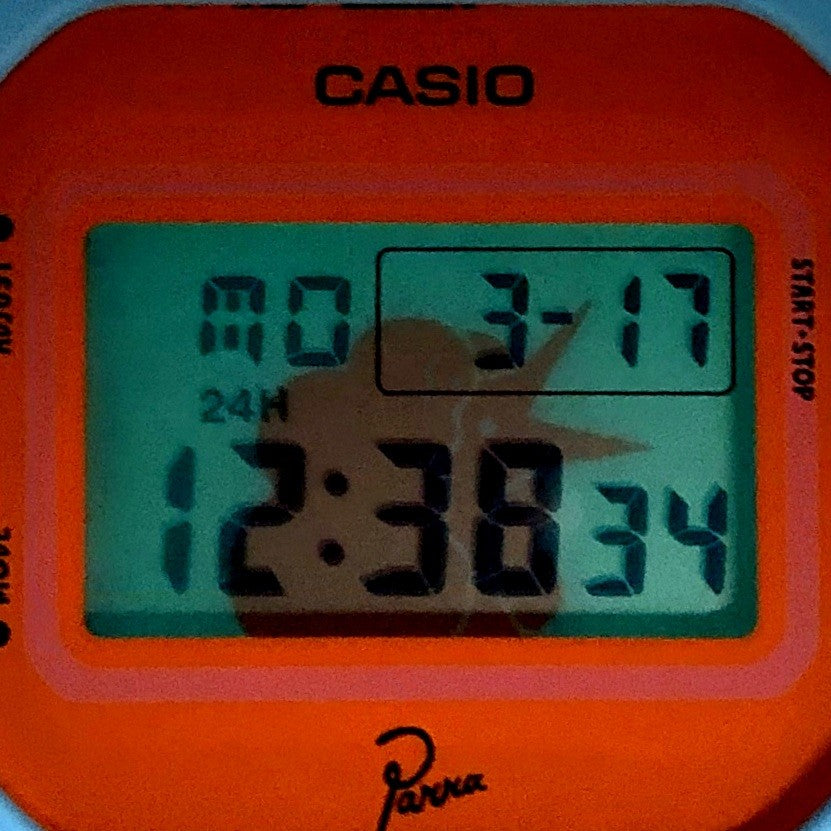 DW-5600PR-4 パラ タイアップモデル