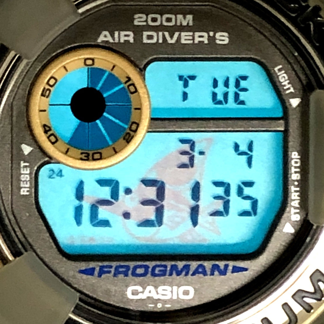 DW-8200AC-8T アメリカズカップ2000 カジキマグロEL