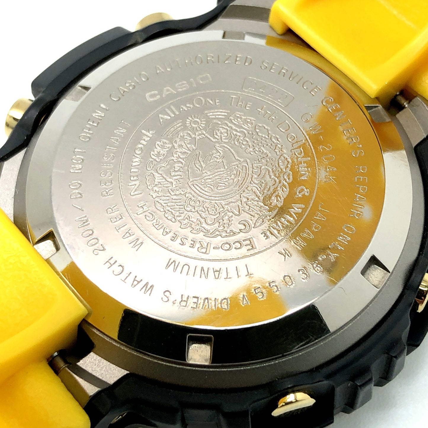 GW-204K-9 イルクジ2004 FROGMAN