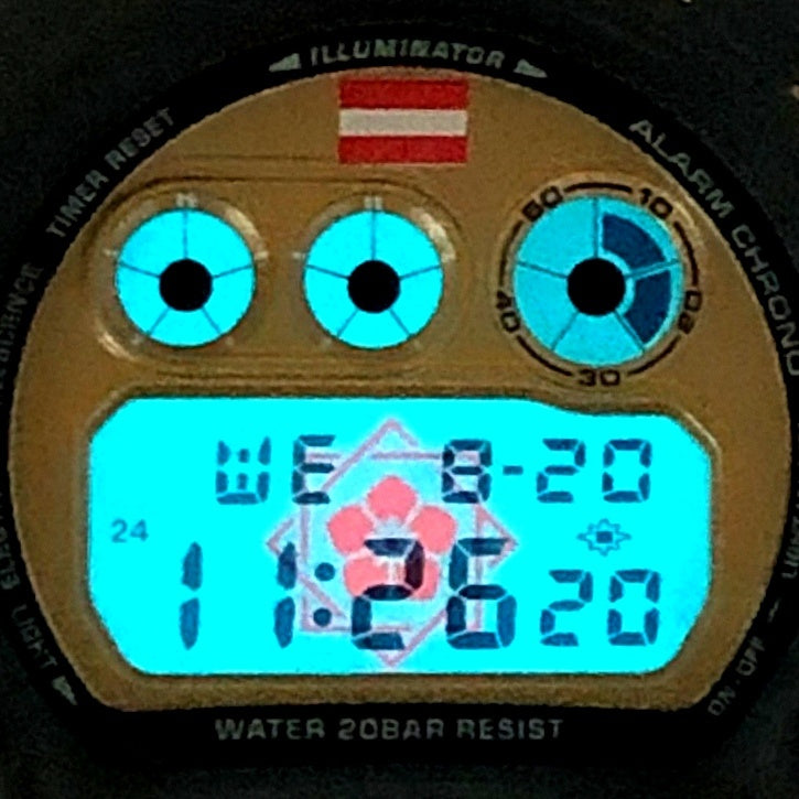 DW-6900BRYO-9 Gショック25周年記念 坂本龍馬 コラボレーションモデル