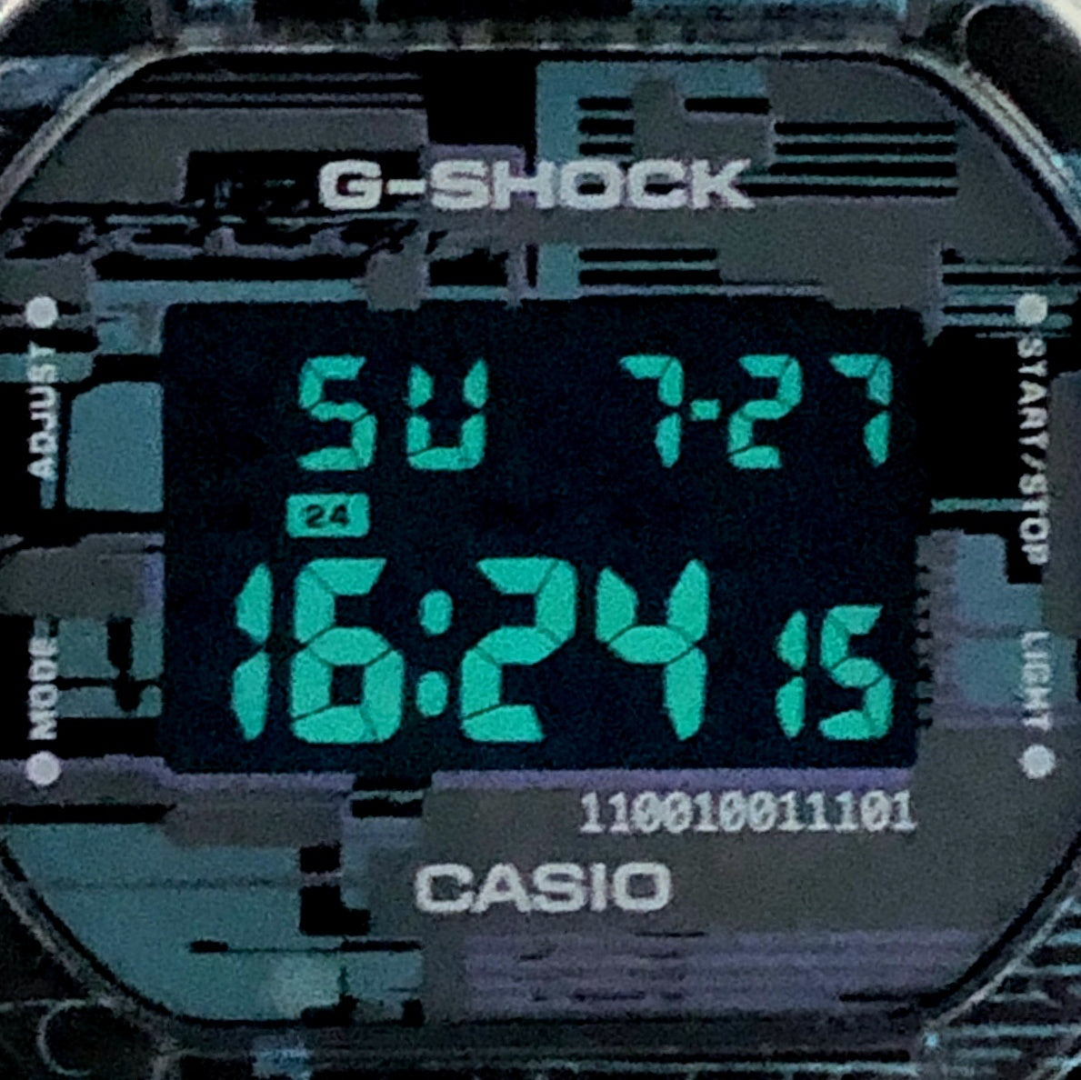 DW-5600NN-1 デジタルグリッチ(バグ)