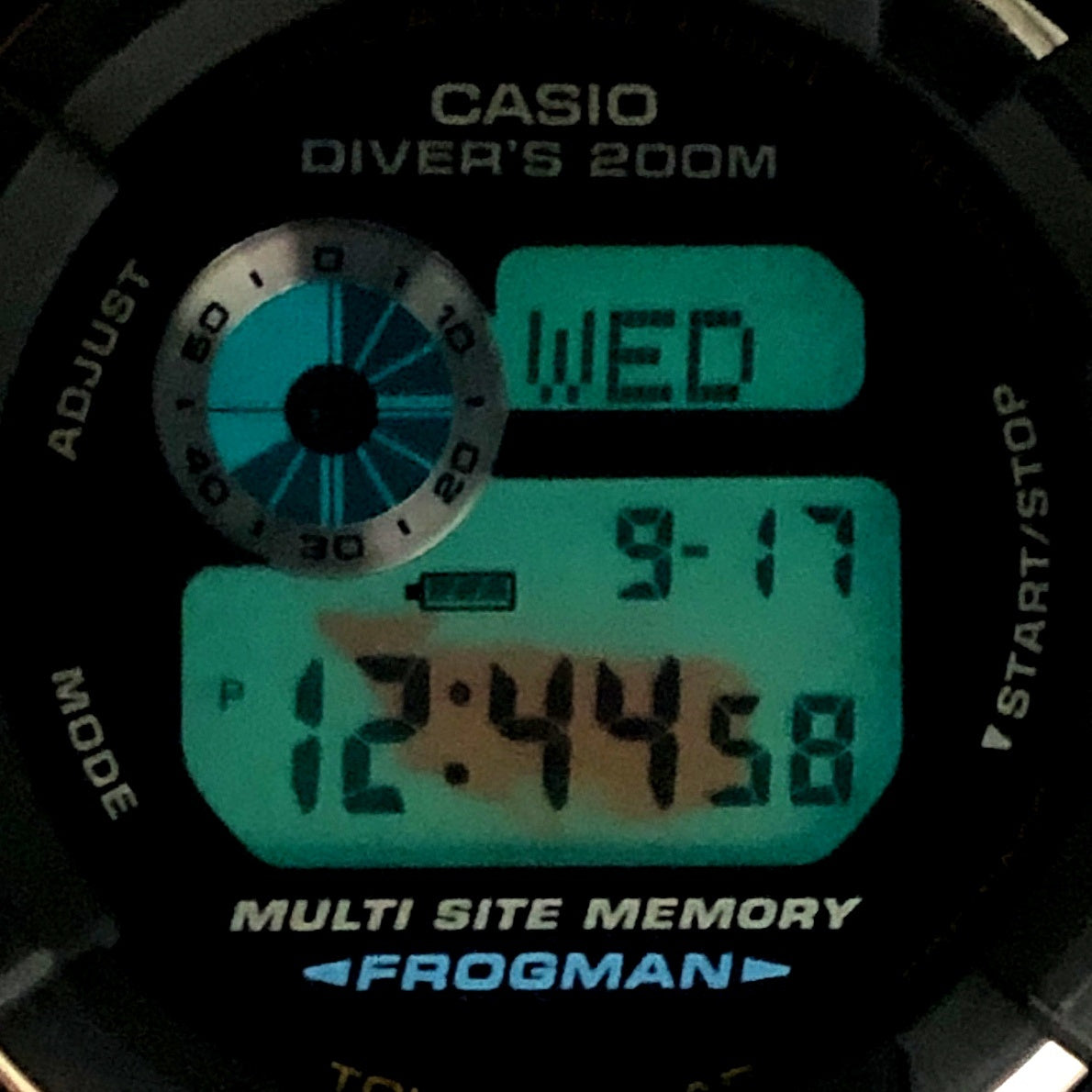 GW-204K-9 イルクジ2004 FROGMAN