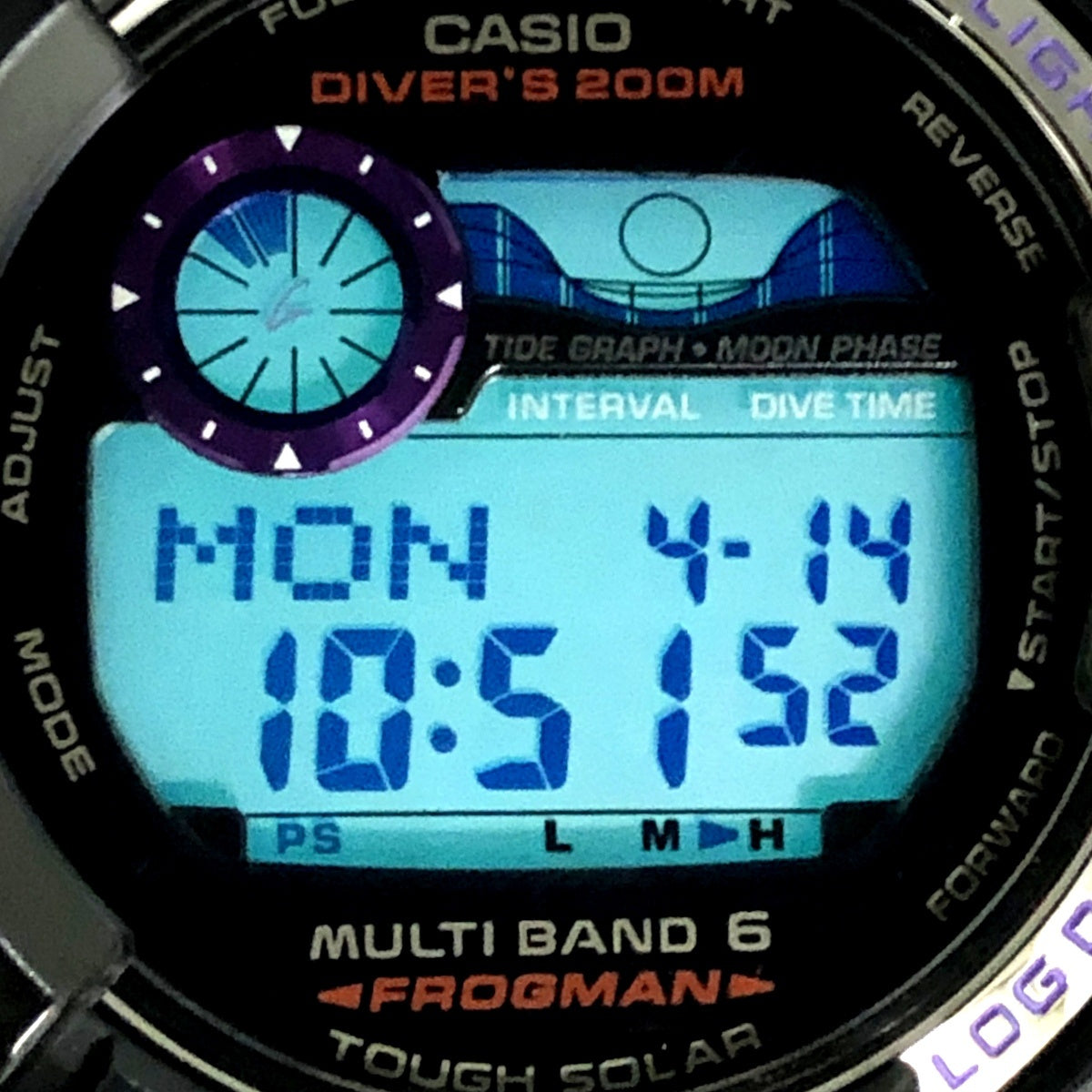 GWF-1000BP-1 フロッグマン メンインダークパープル
