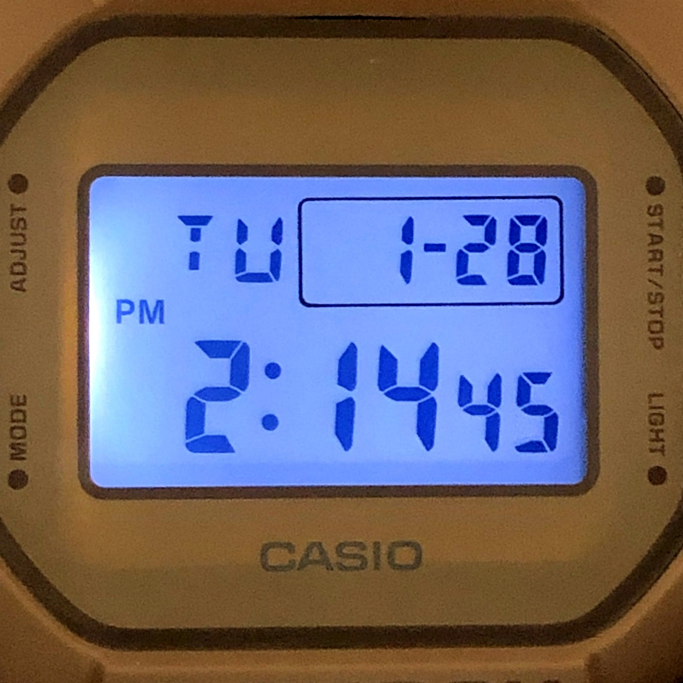 DW-5600NC-5 ナチュラルカラー ワントーン