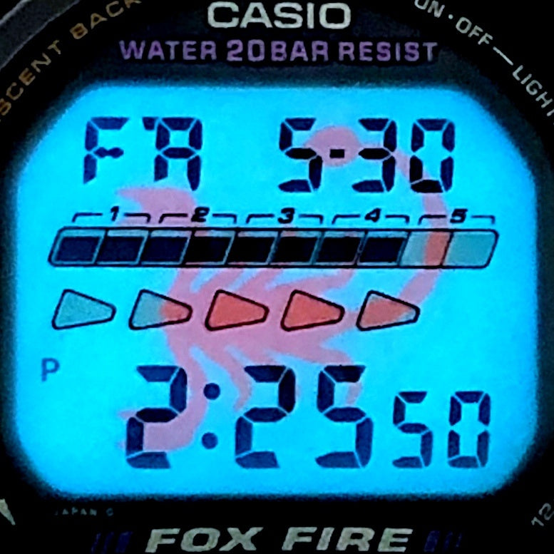 DW-6620-6 パープル スコーピオン 1994年冬季モデル