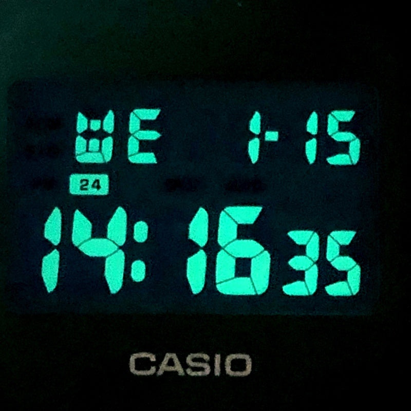 DW-5600SB-3 カラースケルトンシリーズ