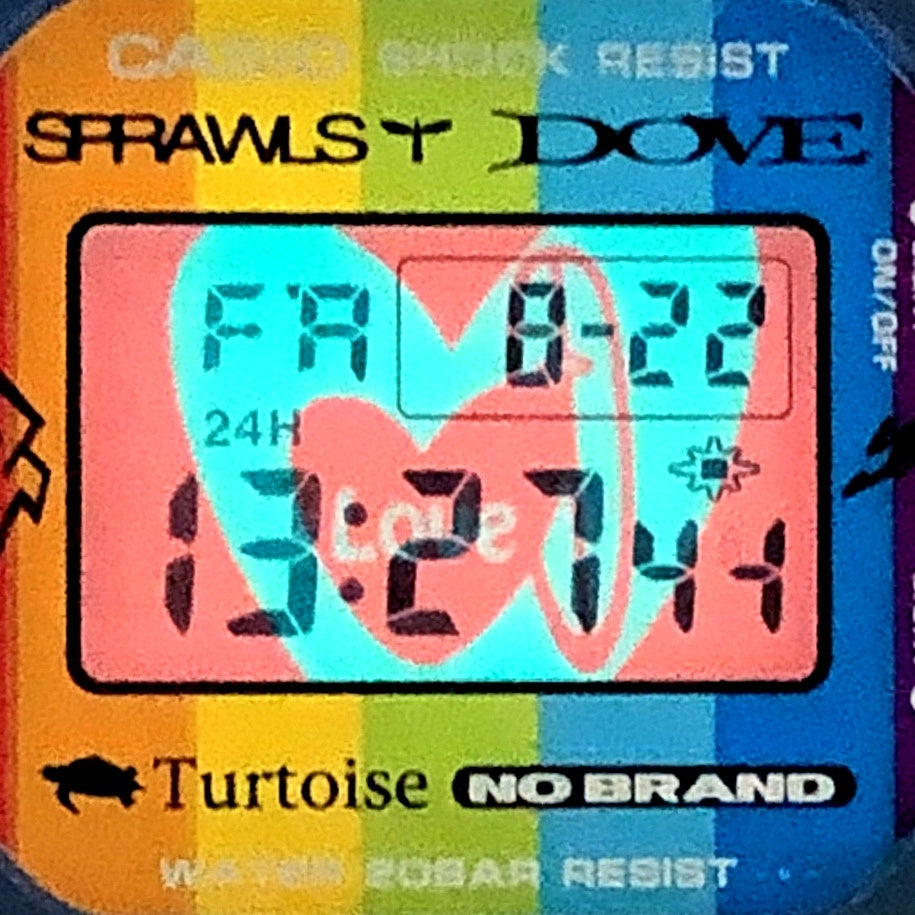 DW-5600SF-2 We Love Surfing コラボレーションモデル