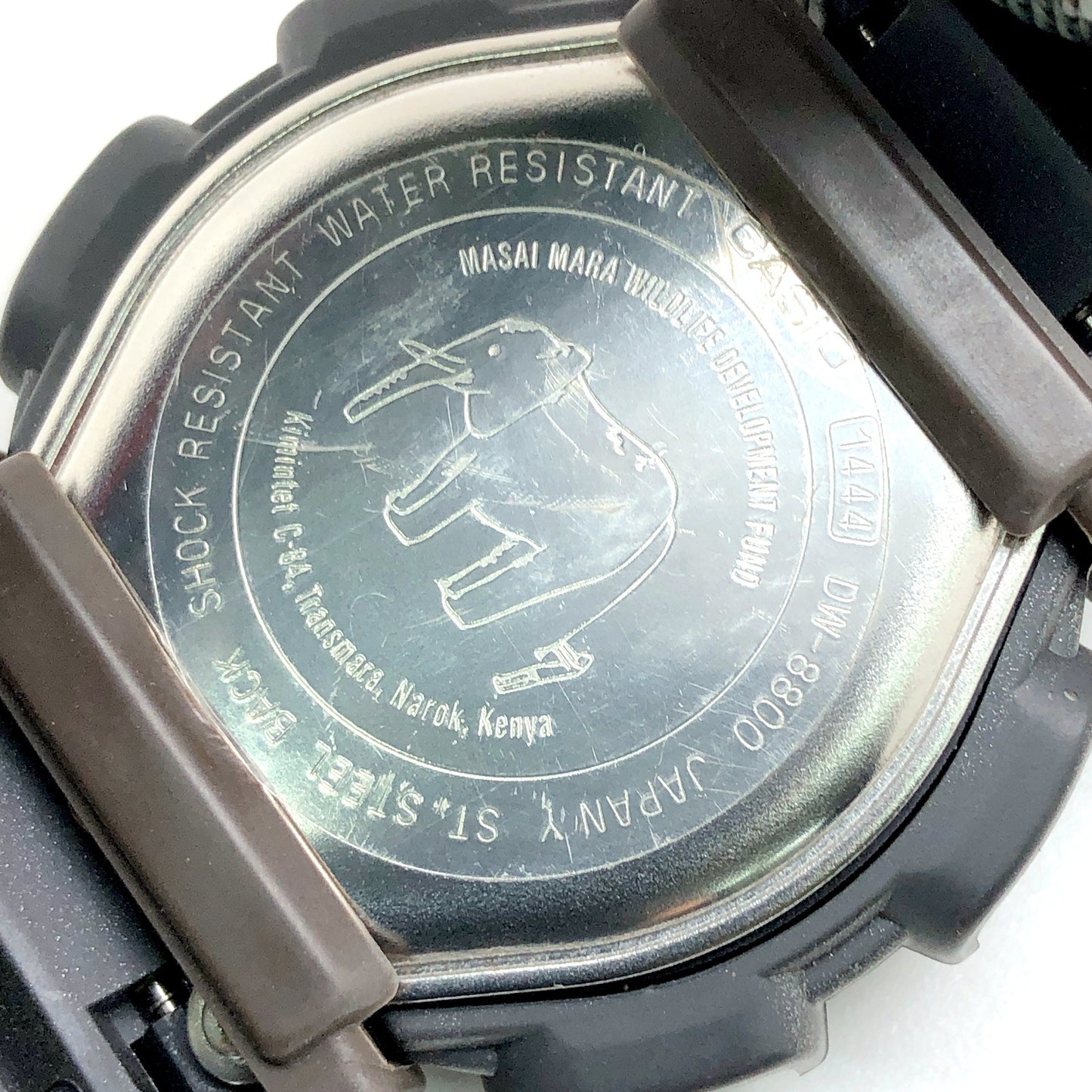 DW-8800MM-3T コードネーム マサイマラ ライオンEL