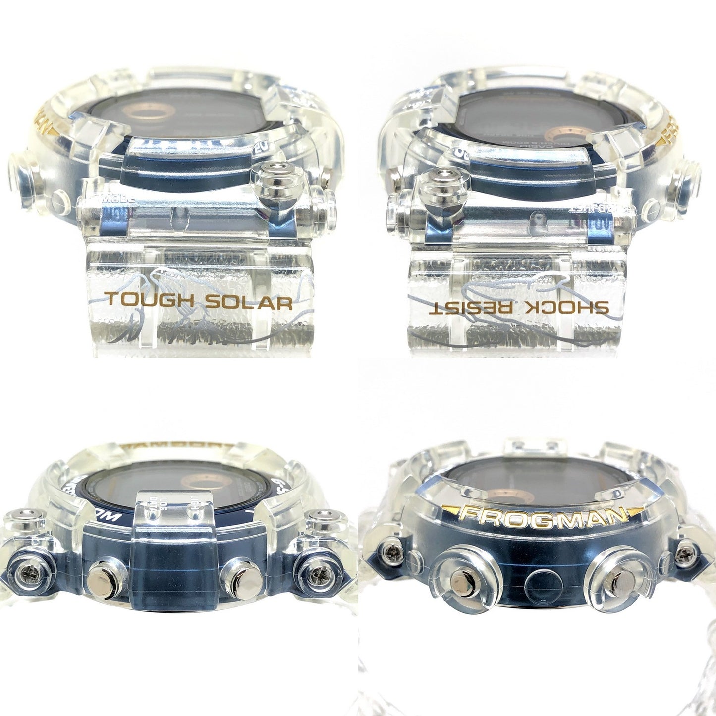 GF-8251K-7 イルクジ2019 コラボ25周年記念モデル