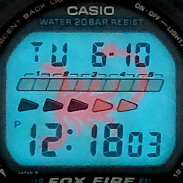 DW-6620-3 グリーン スコーピオン 1994年冬季モデル