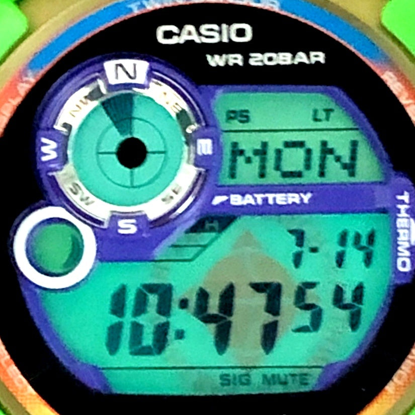 GW-9300K-3 アースウォッチ2012 インコ