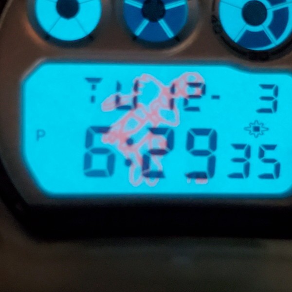 DW-6900WF-2T