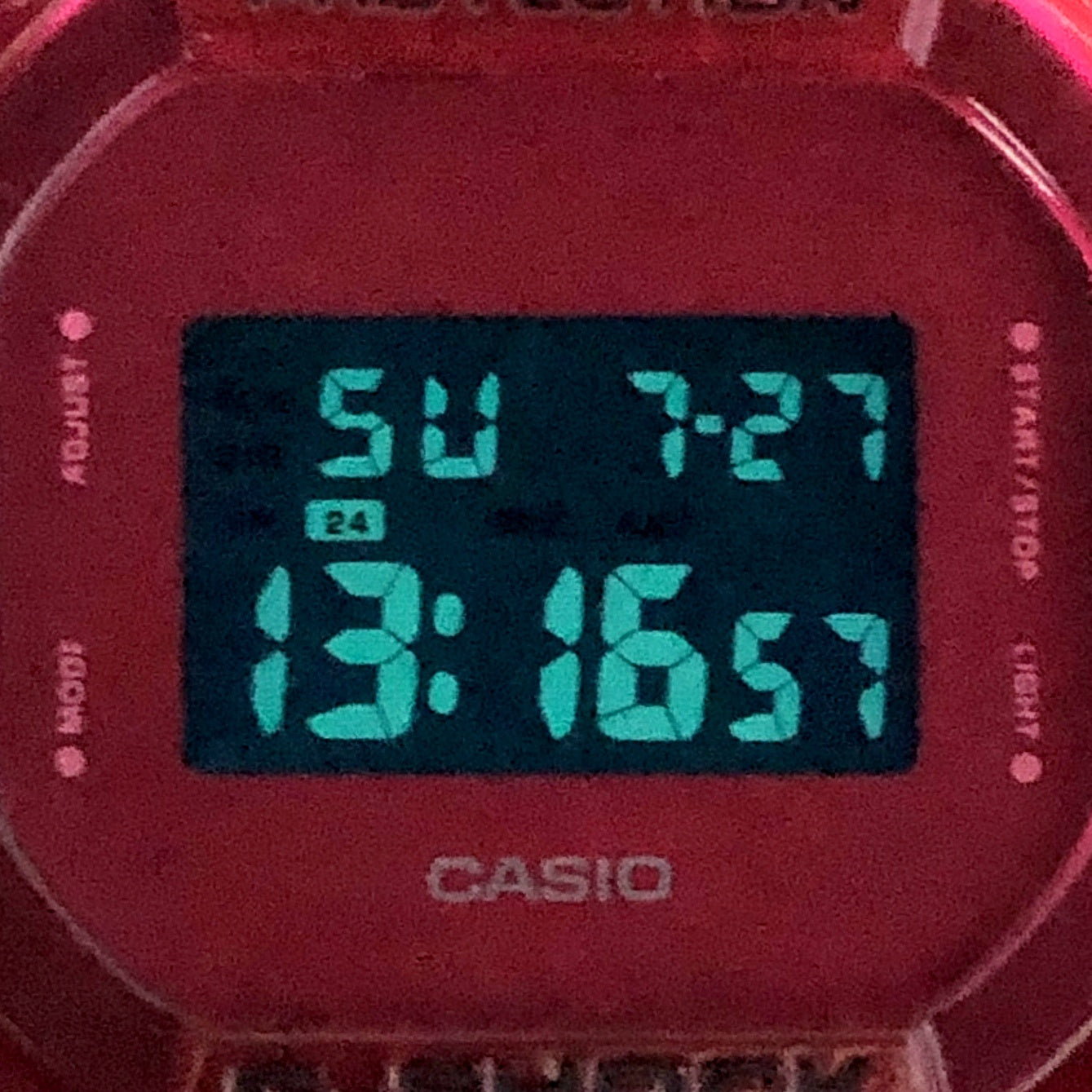 DW-5600SB-4 カラースケルトンシリーズ