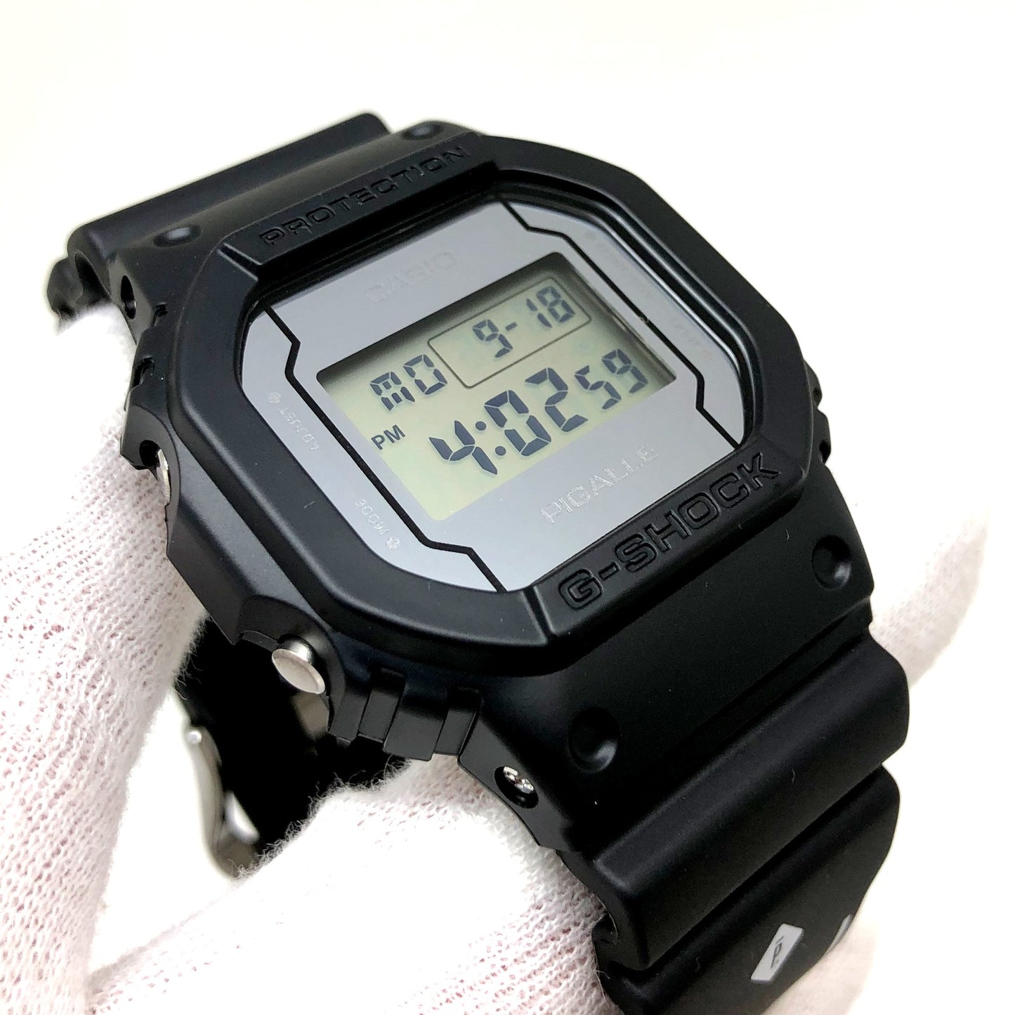 DW-5600PGB-1JR
