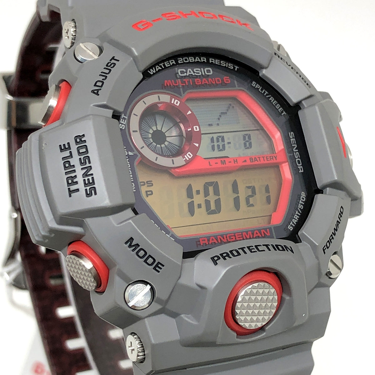 GW-9400KJ-8 アースウォッチ2014 アジアアロワナ