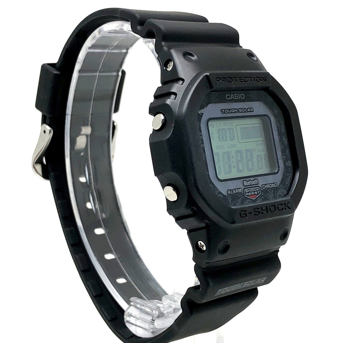GW-B5600CD-1A2 チャールズ・ダーウィン ダーウィンフィンチ