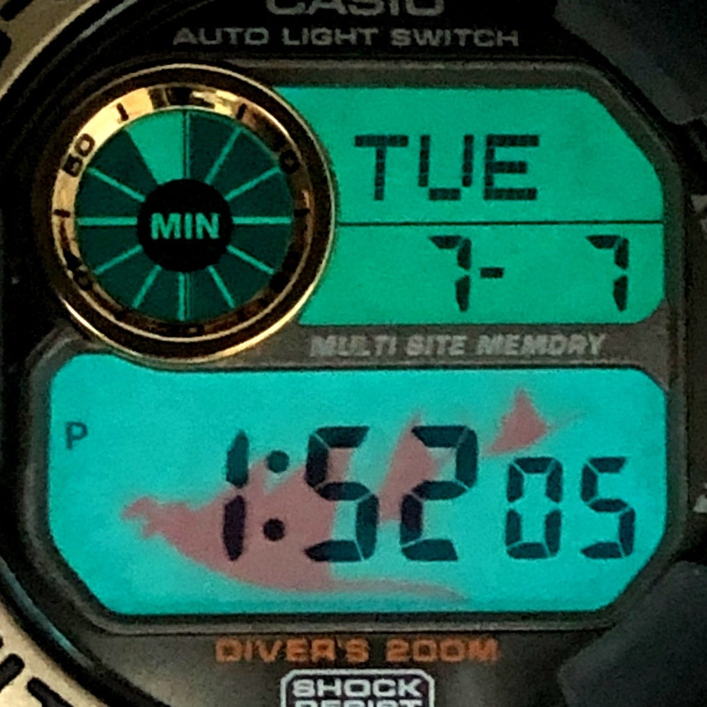 DW-9902GWC-8 フロッグマン WCCS ブラックスケルトン