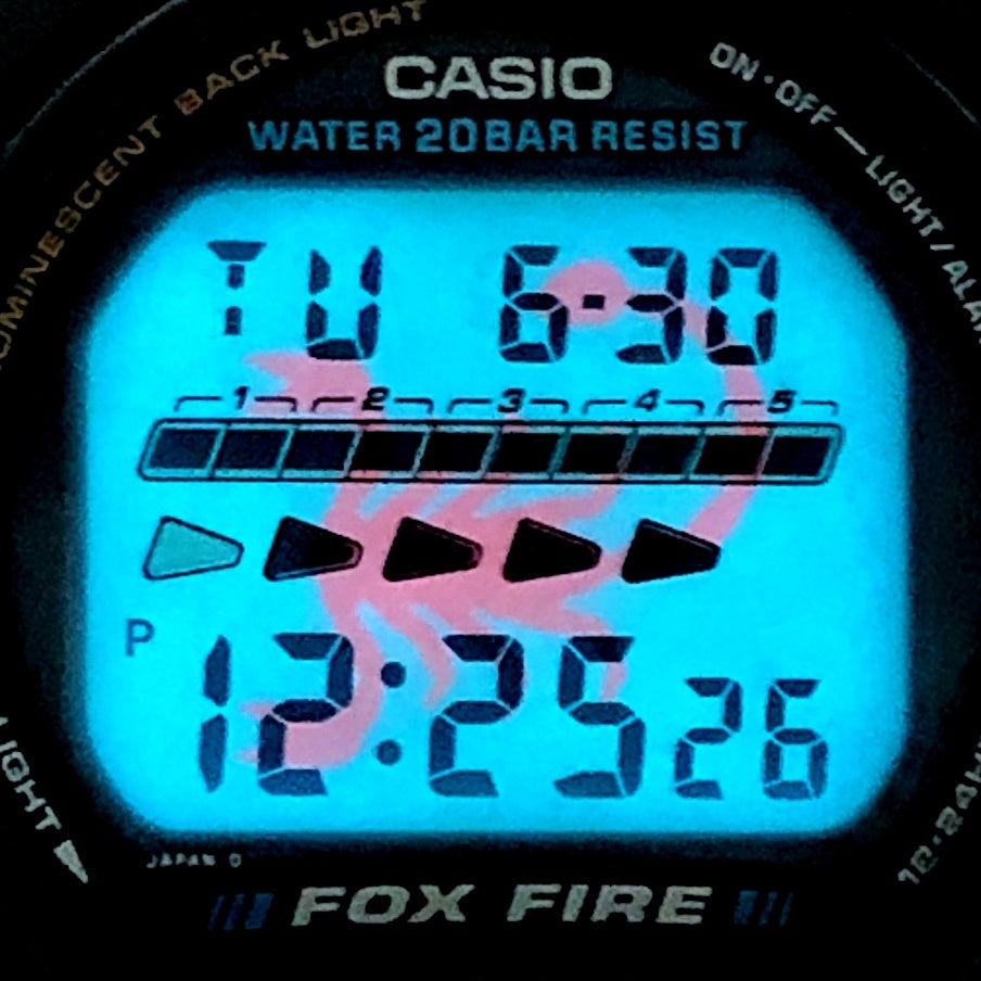 DW-6620-3 グリーン スコーピオン 1994年冬季モデル