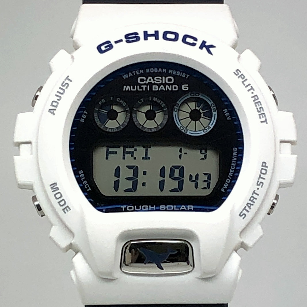 GW-6905K-7A イルクジ2025 ザトウクジラ