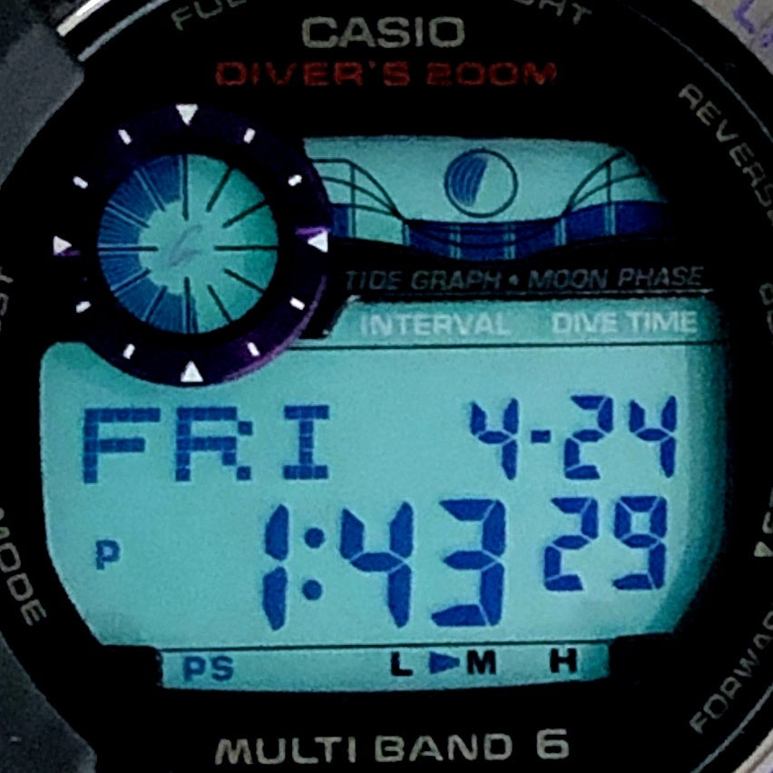 GWF-1000BP-1 フロッグマン メンインダークパープル