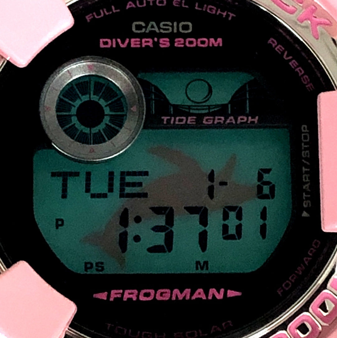 GF-8250K-4 フロッグマン イルクジ2014