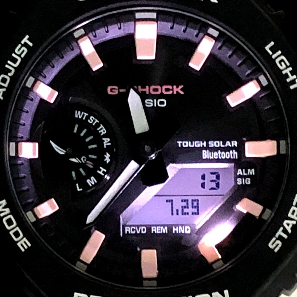 GA-B2100CD-1A7 チャールズ・ダーウィン ガラパゴスペンギン