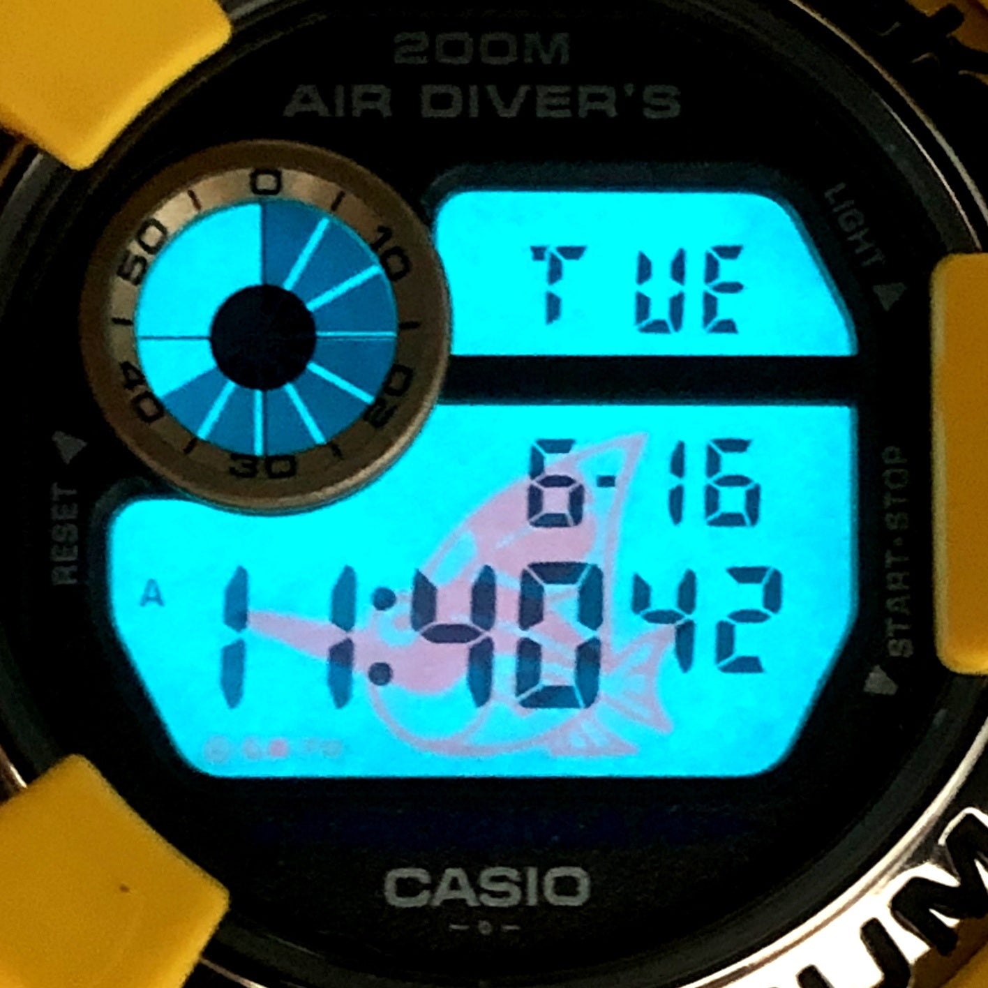 DW-8200AC-9T アメリカズカップ2000 カジキマグロEL