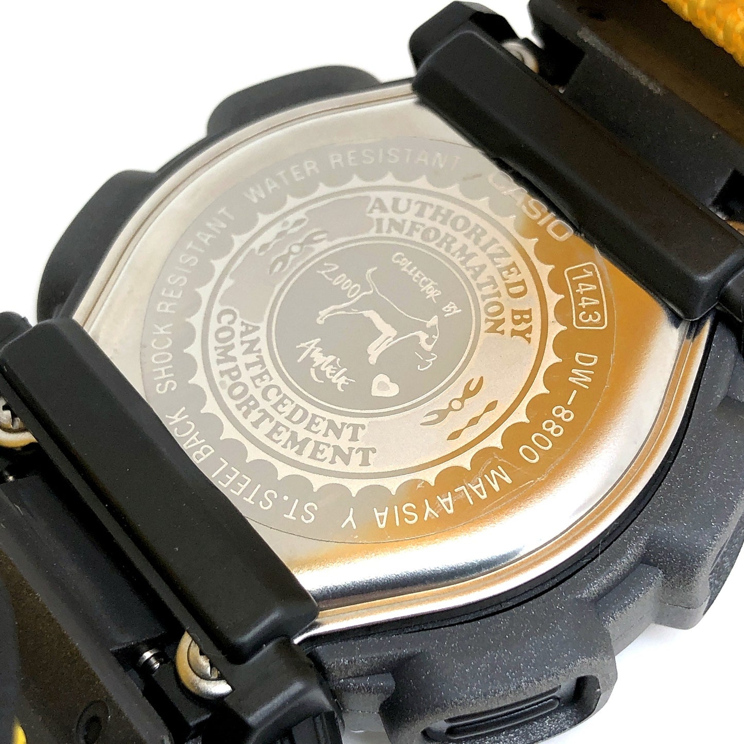 DW-8800AB-9T BG-350AB-9T アニエスベー オレール別注 コラボモデル BABY-G セット