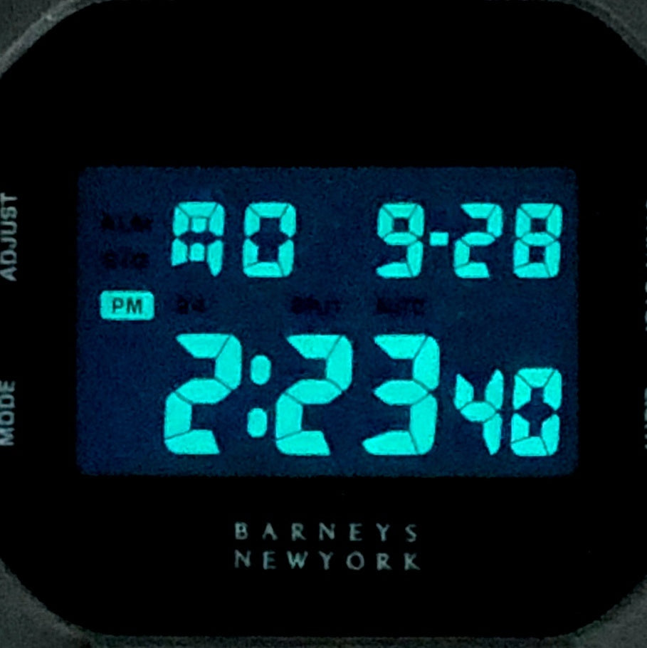 DW-5600VT バーニーズニューヨーク コラボレーションモデル