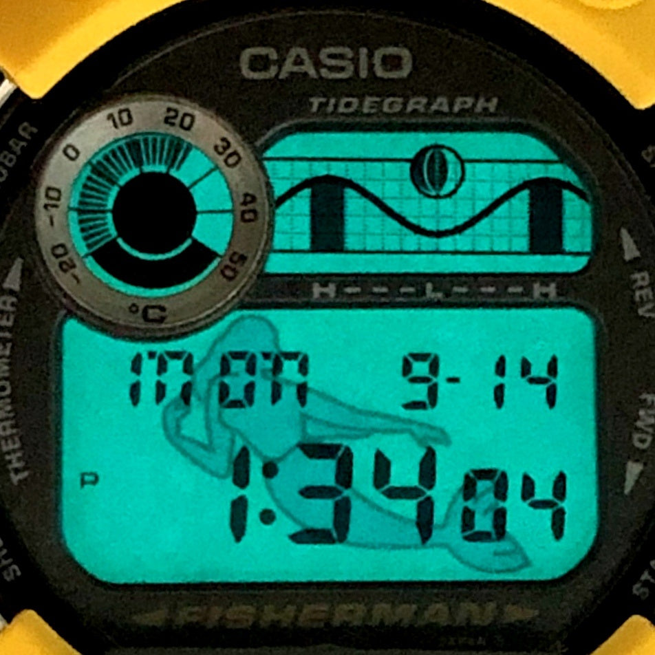 DW-8600YJ-9T フィッシャーマン メンインイエロー