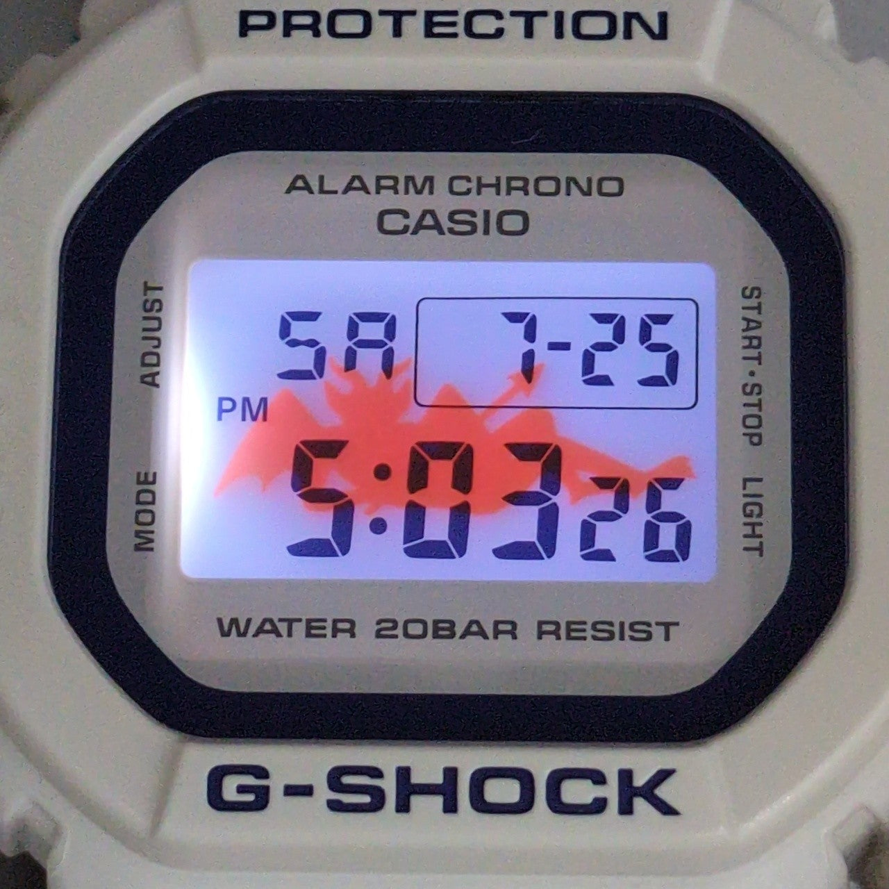 DW-5600LL