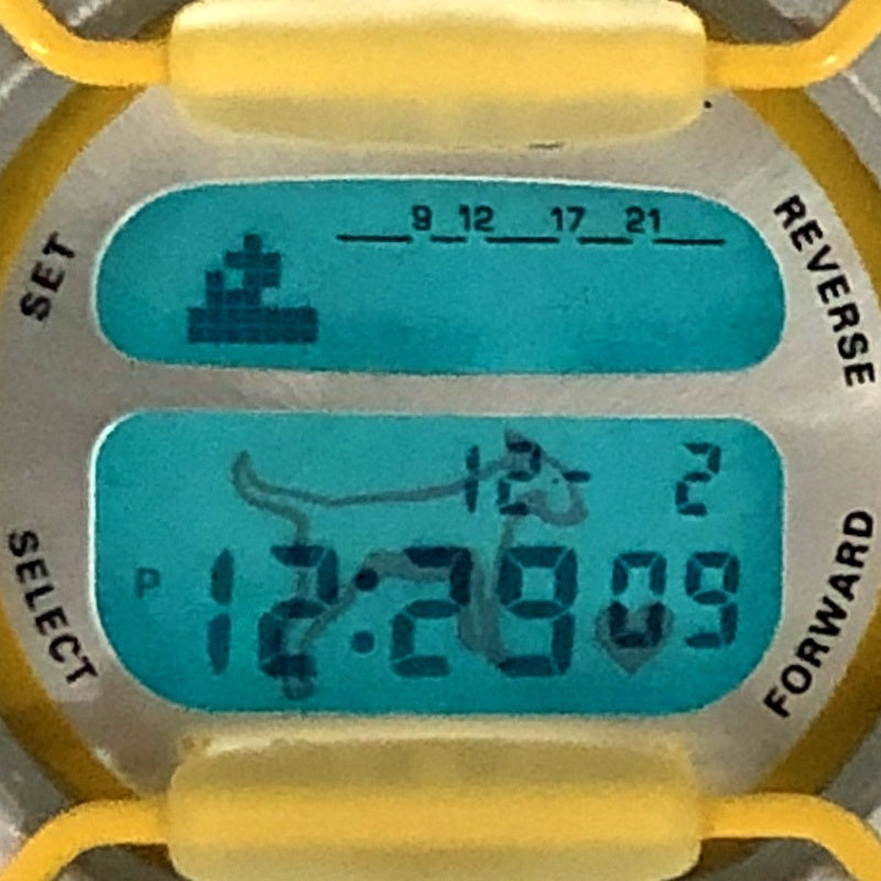 DW-8800AB-9T BG-350AB-9T アニエスベー オレール別注 コラボモデル BABY-G セット
