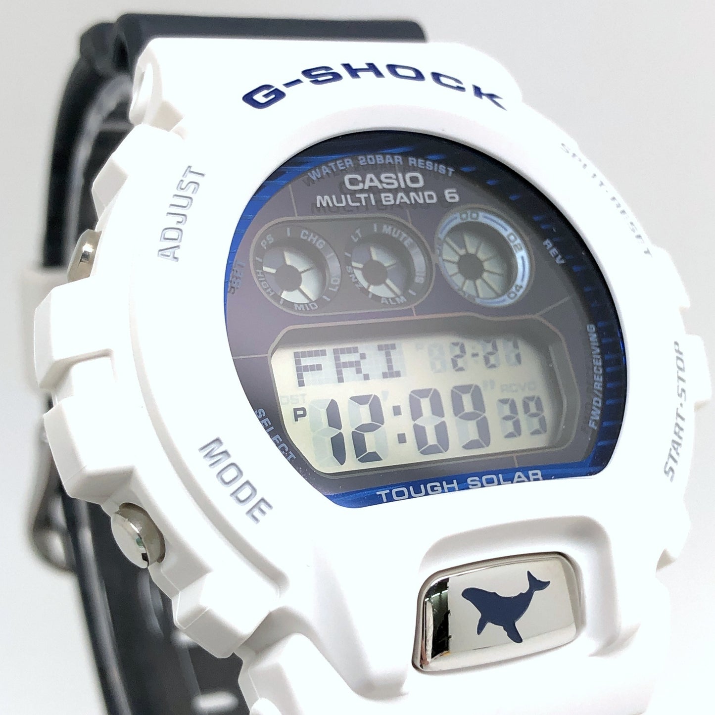GW-6905K-7A イルクジ2025 ザトウクジラ