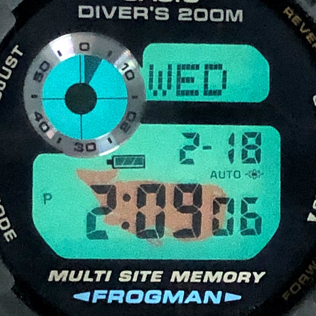 GW-204K-9 フロッグマン イルクジ2004 初代カラー