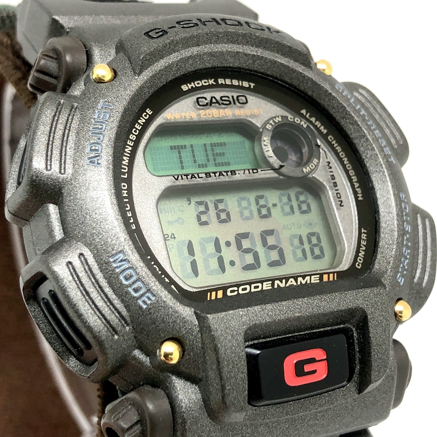DW-8800MM-3T コードネーム マサイマラ ライオンEL