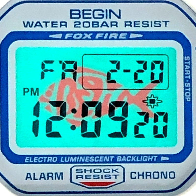 DW-5600BEGIN-7 ビギン20周年 うたの日10周年 記念コラボモデル