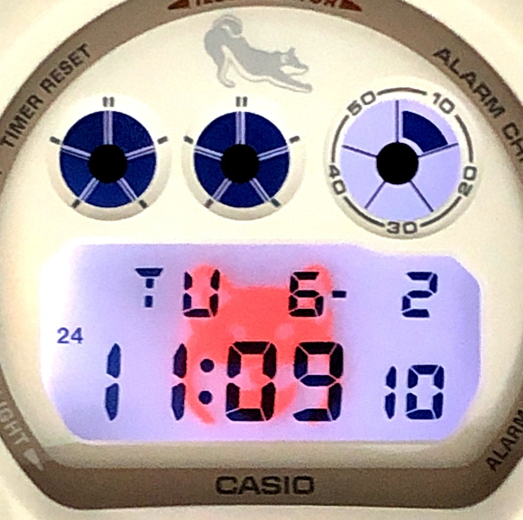 DW-6900SHB-7 SHIRO-SHIBA 白柴
