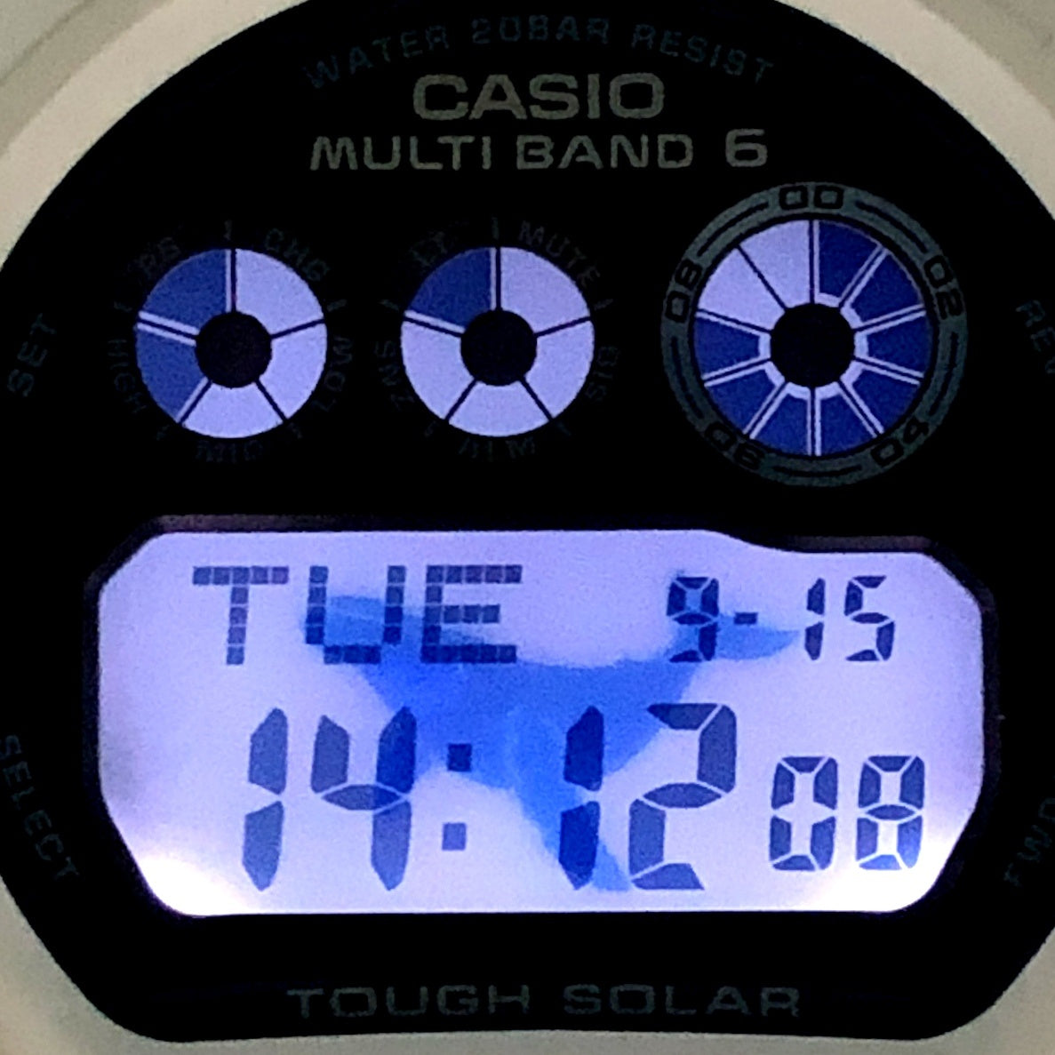 GW-6905K-7A イルクジ2025 ザトウクジラ