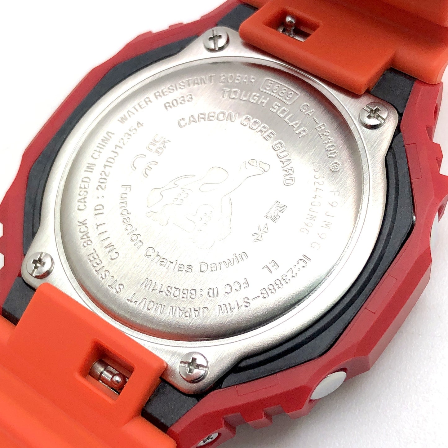 GA-B2100DF-4A チャールズ・ダーウィン ガラパゴスベニイワガニ