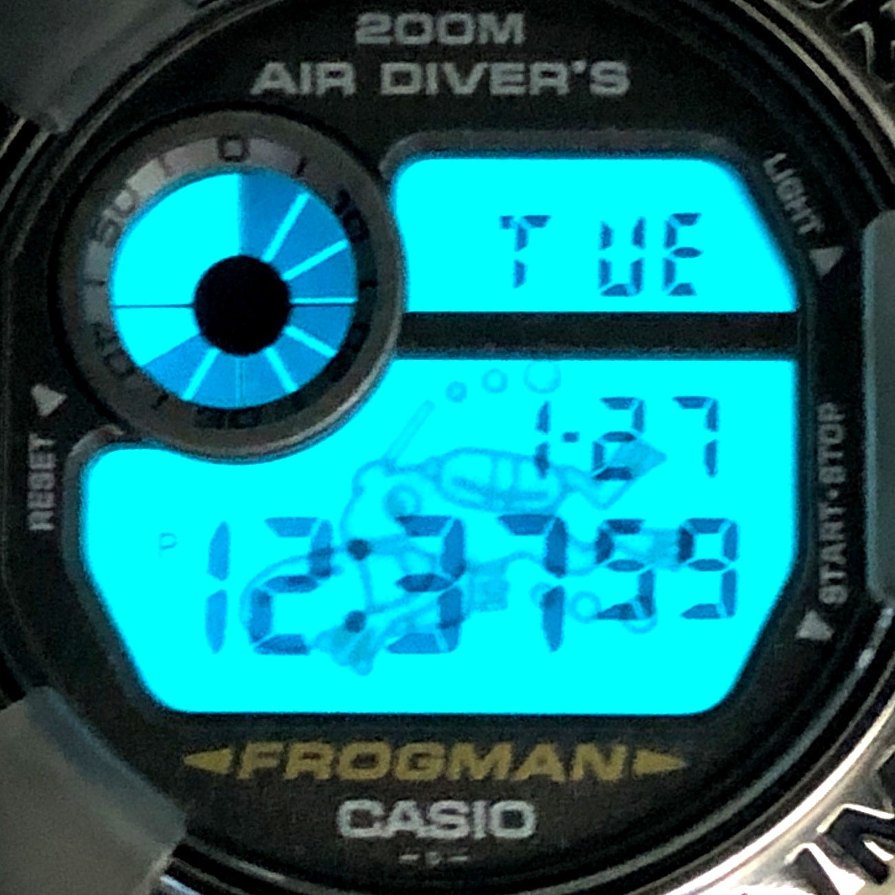 DW-8200MS-8T フロッグマン メンインスモーク