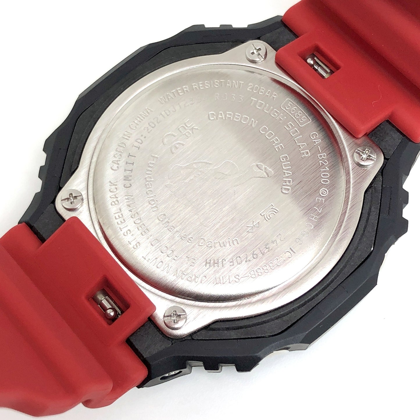 GA-B2100CD-1A4 チャールズ・ダーウィン ガラパゴスウミイグアナ