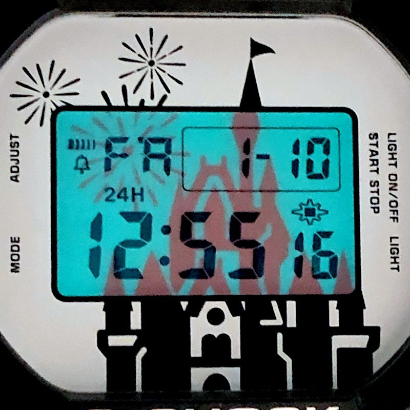 DW-5600VT 東京ディズニーリゾート35周年記念 抽選販売 限定3500本 – G