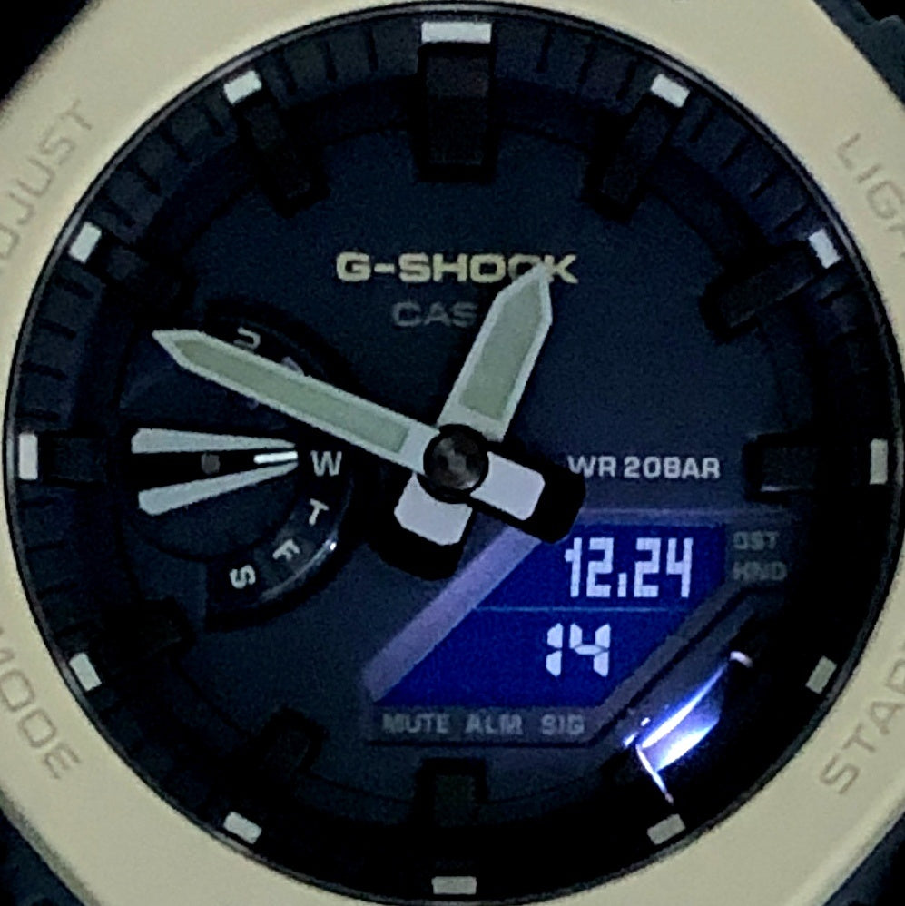 GA-2110ET-2A アースカラートーンシリーズ
