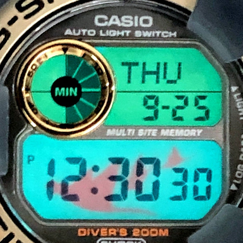 DW-9902GWC-8 フロッグマン WCCS ブラックスケルトン
