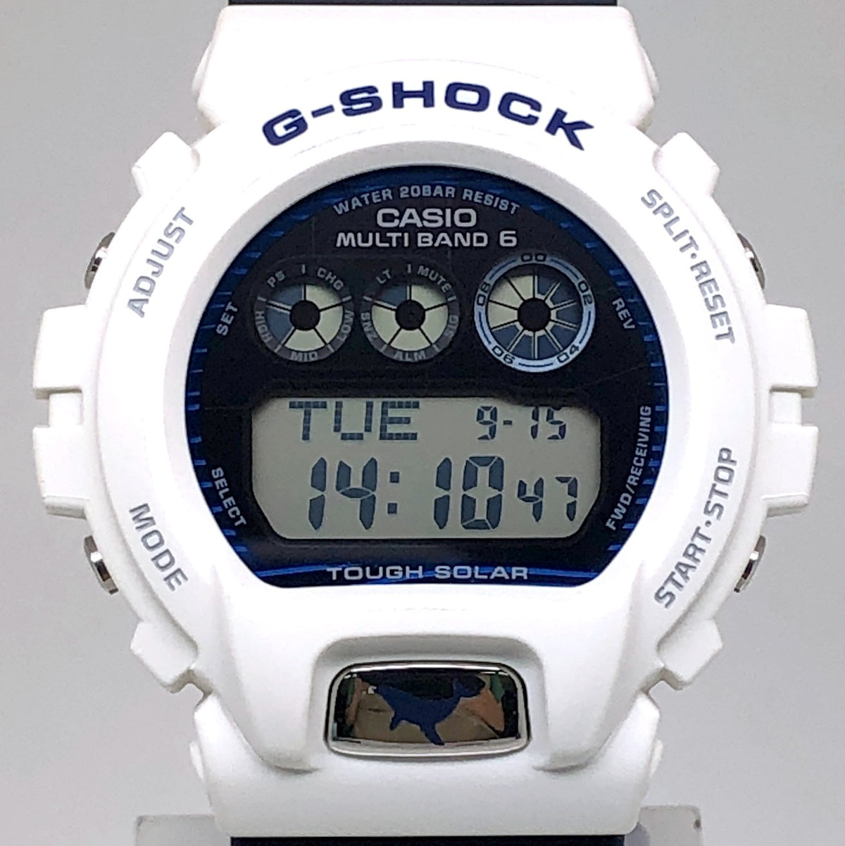 GW-6905K-7A イルクジ2025 ザトウクジラ