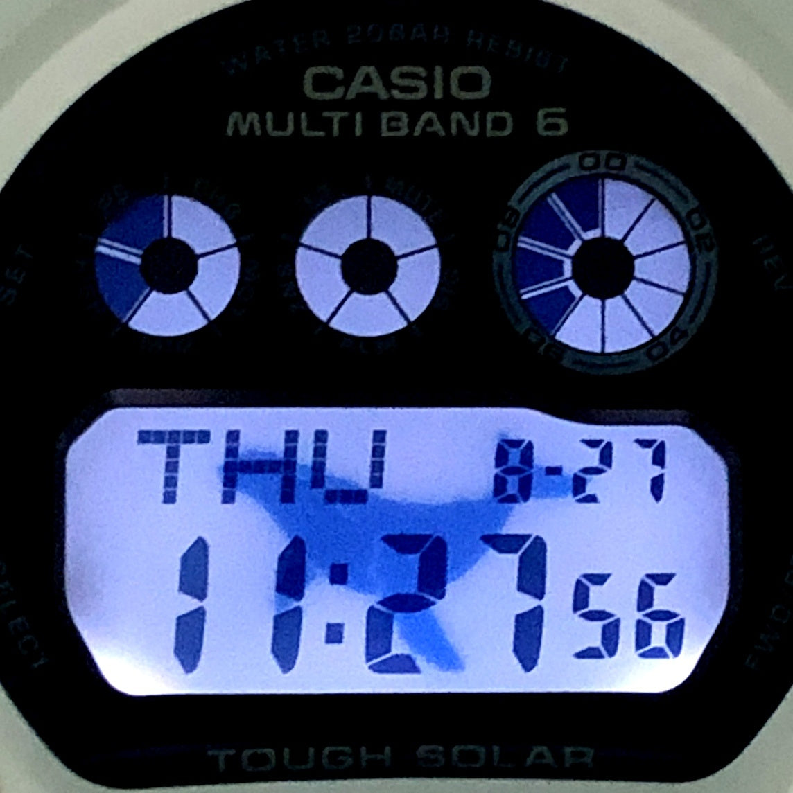 GW-6905K-7A イルクジ2025 ザトウクジラ