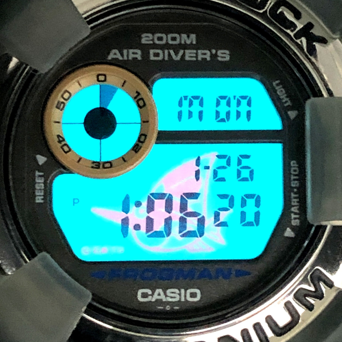 DW-8200AC-8T アメリカズカップ2000 カジキマグロEL グレースケルトン